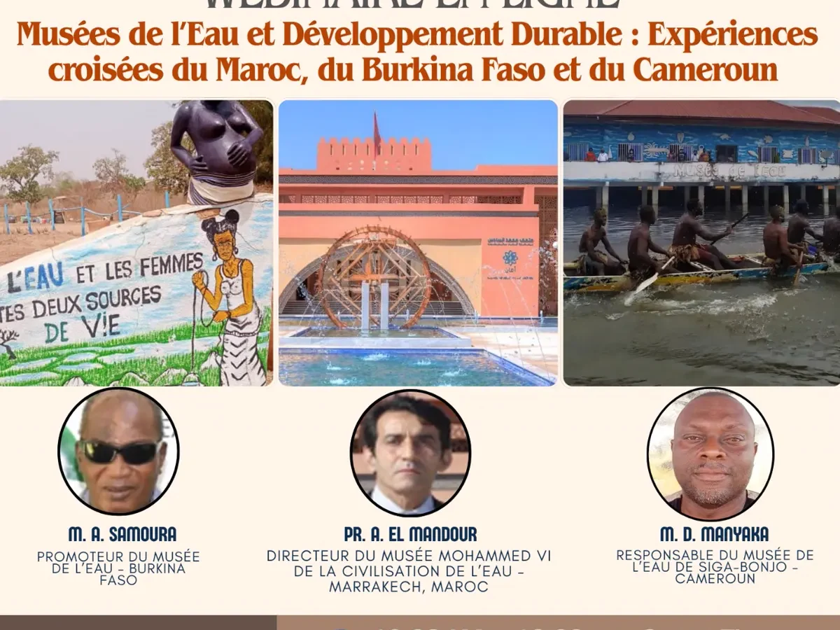 Photo de l'article : Webinaire : musées de l’eau et développement durable, Burkina Faso, Cameroun, Maroc